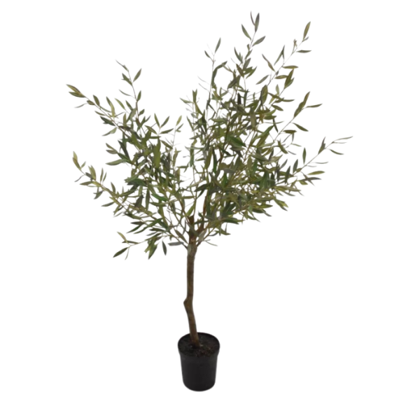 kunstpflanze-fleur-ami-olivenbaum-olea-europeaa-150cm.png
