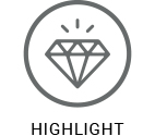 LUD-Icon-HIGHLIGHT