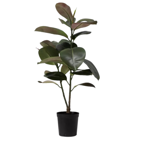 kunstpflanze-fleur-ami-gummibaum-ficus-elastica-95cm-dunkelgruen.png