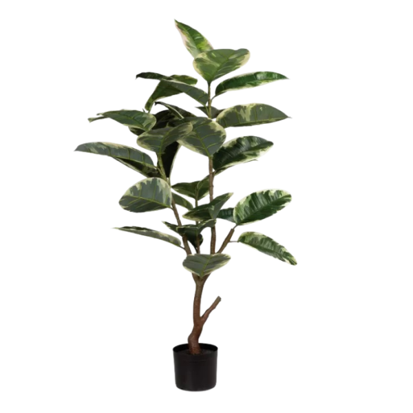 kunstbaum-fleur-ami-gummibaum-ficus-elastica-122cm.png
