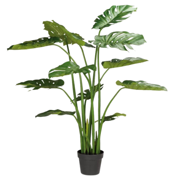 kunstpflanze-fleur-ami-fensterblatt-monstrea-120cm.png
